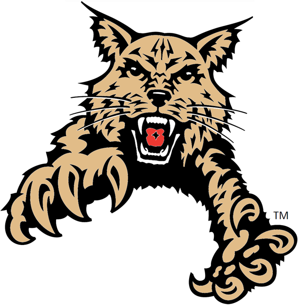 Abilene Christian Wildcats 1997-2012 Partial Logo diy fabric transfer
